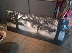 Canvas bomen, Ophalen