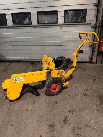 Stronkenfrees jo beau B13-90 beschikbaar voor biedingen