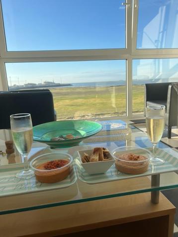 VAKANTIEAPPARTEMENT TE HUUR – ZEEDIJK HEIST – 2 SLAAPKAMERS beschikbaar voor biedingen