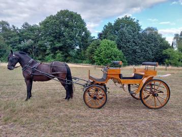 Koets, Utilisé, Wagonette, Cheval ou Poney