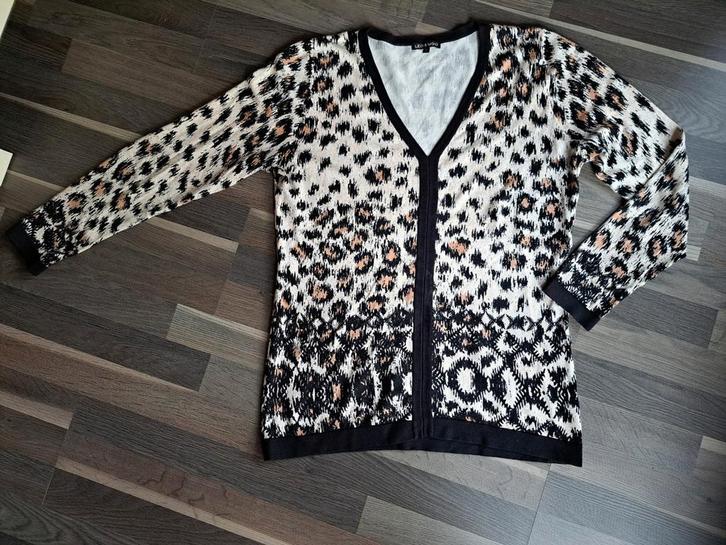 Léo & Ugo, trui mt 44/46  bijna nieuw, Kleding | Dames, Truien en Vesten, Zo goed als nieuw, Maat 46/48 (XL) of groter, Ophalen of Verzenden