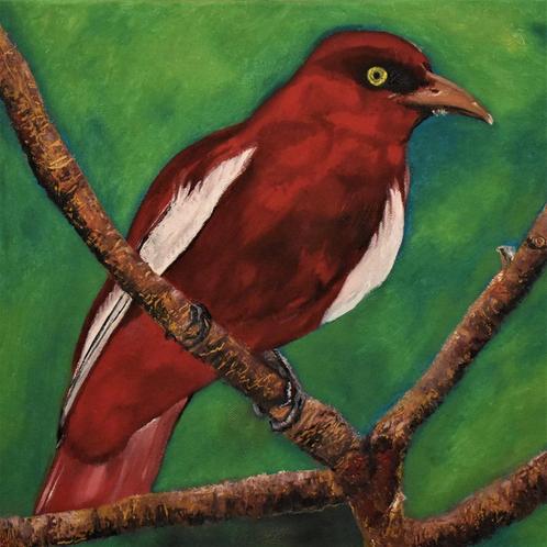 Vogelschilderij, door joky kamo, Antiek en Kunst, Kunst | Schilderijen | Modern, Ophalen