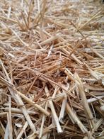 Straw à vendre, Enlèvement