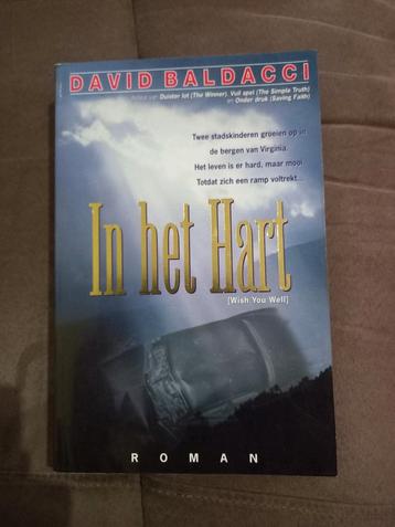 David Baldacci - In het hart beschikbaar voor biedingen