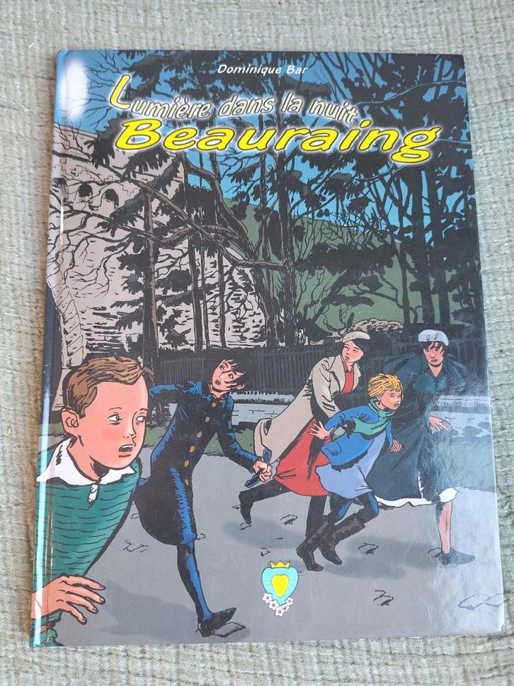 Lumière dans la nuit - Beauraing, Livres, BD, Enlèvement ou Envoi