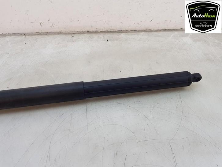 ACHTERKLEP MOTOR Tesla Model X (|106566400C|106566400A|), Auto-onderdelen, Carrosserie, Achterklep, Overige automerken, Gebruikt