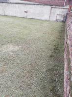 Je cherche paons, Immo