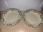 2 soepborden, Huis en Inrichting, Ophalen of Verzenden, Zo goed als nieuw, Bord(en)