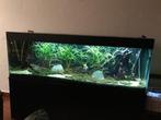 Aquarium, Animaux & Accessoires, Poissons | Aquariums & Accessoires, Enlèvement, Utilisé, Aquarium vide