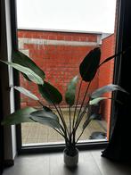 Plante artificielle Strelitzia 160 cm avec pot vert menthe, Enlèvement, Comme neuf