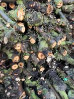 Nat appel brandhout, 6 m³ of meer, Verzenden, Overige houtsoorten, Stammen