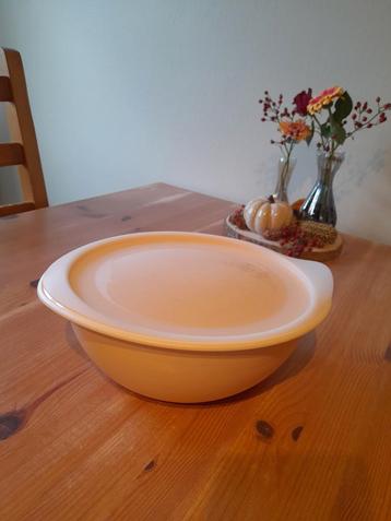 Grote Tupperware bewaardoos

3,1l beschikbaar voor biedingen