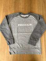 Sweater "zenakalm" maat 12/14 jaar, Comme neuf, Fille, Pull ou Veste, Enlèvement ou Envoi