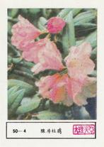 lucifermerk luciferetiket #194 bloemen (50-4), Boîtes ou marques d'allumettes, Envoi, Neuf