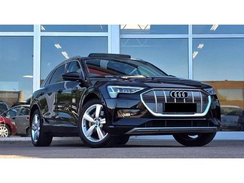 Audi E-Tron 50 QUATTRO  Launch edition plus 71 kWh  Panor d, Auto's, Audi, Bedrijf, Overige modellen, Bluetooth, Centrale vergrendeling