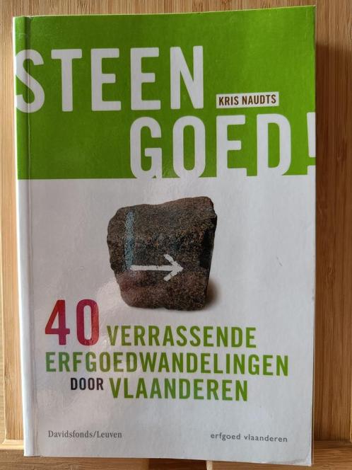 Steengoed! 40 verrassende erfgoedwandelingen door Vlaanderen, Boeken, Reisgidsen, Zo goed als nieuw, Reisgids of -boek, Benelux