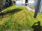 Caravane, Caravans en Kamperen, Particulier, 5 tot 6 meter, Tot en met 6, Wilk