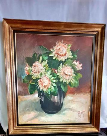 Geen stil, wel explosief leven prikarme Pink Protea's beschikbaar voor biedingen