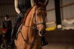 Super lieve allround bomproof 6 jarige ruin, Dieren en Toebehoren, Paarden, Ruin, L, 165 tot 170 cm, 3 tot 6 jaar