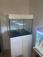 aquarium 200 liter te koop, Dieren en Toebehoren, Ophalen, Gebruikt, Leeg aquarium