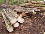 Brandhout mast op stam (den,spar), Stammen, 3 tot 6 m³, Overige houtsoorten, Verzenden