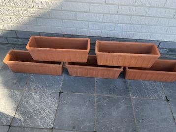 Italiaanse  terracotta bloembakken  beschikbaar voor biedingen