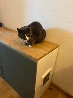 Kast voor kattenbakken, Ophalen, Gebruikt, Gesloten