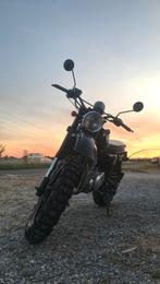 Mash 250cc, Motoren, Particulier