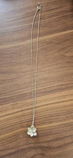 halsketting van Esprit, goudkeurig met een bloem als hanger, Ophalen, Overige materialen, Zo goed als nieuw, Goud