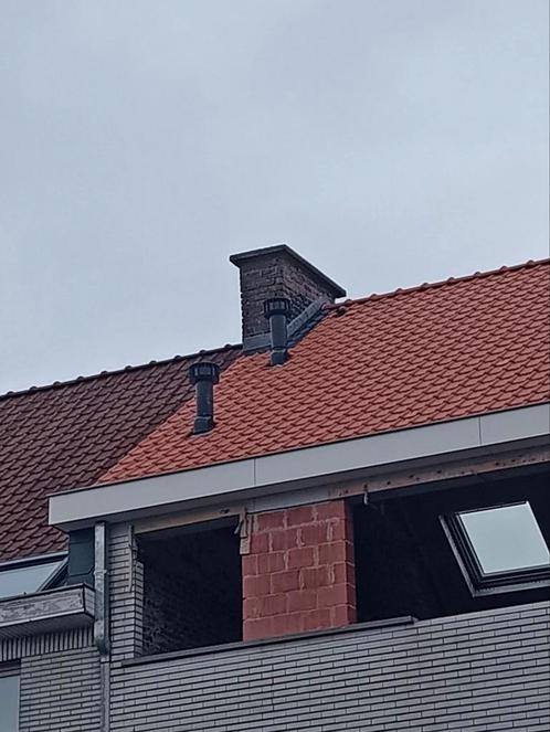 Dakrenovatie & asbestverwijdering, Doe-het-zelf en Bouw, Dakpannen en Dakbedekking, Nieuw, Ophalen of Verzenden