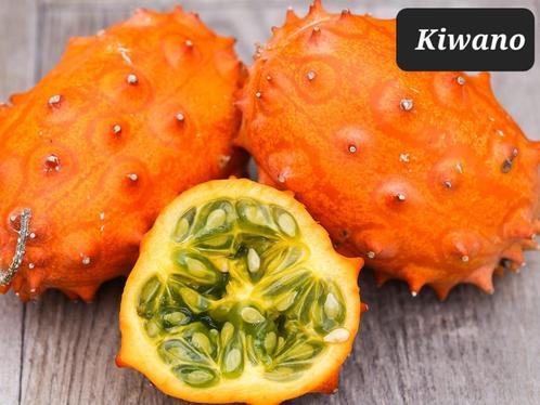Plantjes Kiwano (hoornmeloen of cactuskomkommer), Tuin en Terras, Planten | Tuinplanten, Eenjarig, Groenteplanten, Halfschaduw
