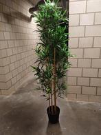 Kunstplant Bamboe, Ophalen, Zo goed als nieuw, Binnen