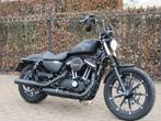 Harley davidson Iron 883, Motos, Motos | Harley-Davidson, 883 cm³, 2 cylindres, Plus de 35 kW, Chopper