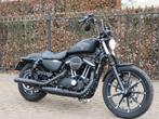 Harley davidson Iron 883, 883 cm³, 2 cylindres, Plus de 35 kW, Chopper