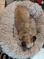Donut mand 60cm, Dieren en Toebehoren, Ophalen, Zo goed als nieuw