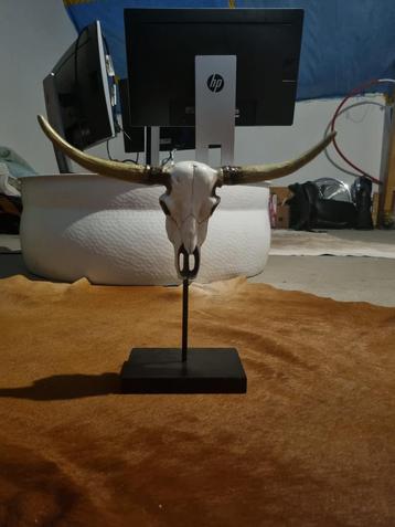 Skelet staander  beschikbaar voor biedingen