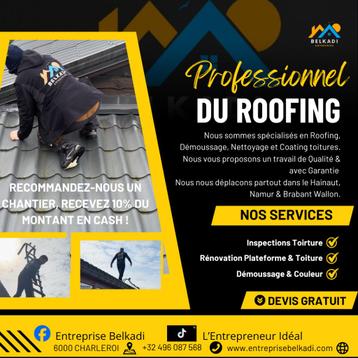 Demoussage-Nettoyage-Coating beschikbaar voor biedingen