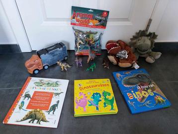 Leuk pakket voor een dinofan beschikbaar voor biedingen