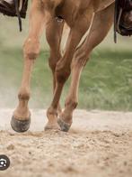Gezocht zand voor paardenrijbak aan te leggen, Jardin & Terrasse, Sable, Enlèvement ou Envoi