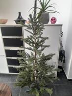 Sapin, Enlèvement, Comme neuf