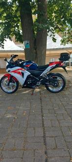 Honda CBR250cc, Motoren, 250 cc, Sport, Particulier, 12 t/m 35 kW