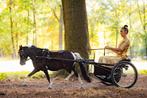 Jerald sulky, Dieren en Toebehoren, Rijtuigen en Koetsen, Pony, Sulky, Zo goed als nieuw