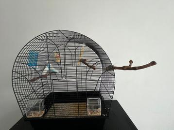 Jeunes perruches, Enlèvement, Comme neuf, Métal, Cage à oiseaux