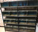Kweekrek te koop, Dieren en Toebehoren, Vissen | Aquaria en Toebehoren, Ophalen, Gebruikt, Leeg aquarium
