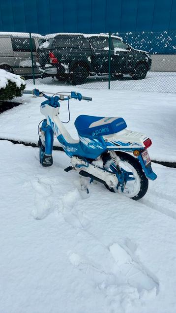 Wallaroo polini edition. 50cc b klasse beschikbaar voor biedingen