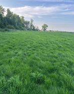 Grote voordroog balen of pakken 750kg, Ophalen