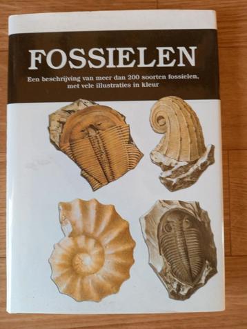 FOSSIELEN