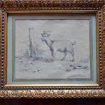 Dessin  de chèvre au crayon, Ophalen of Verzenden