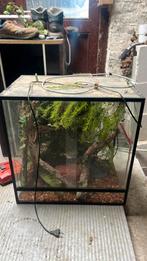 Ingericht Terrarium met warmtesteen en UV lamp, Dieren en Toebehoren, Reptielen en Amfibieën | Toebehoren, Gebruikt, Ophalen of Verzenden