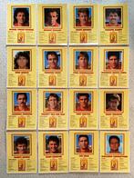 16 spelerskaarten België De Rode Duivels 1993, Spelerskaart, Ophalen of Verzenden, Zo goed als nieuw